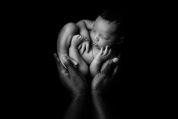 newborn photography essex